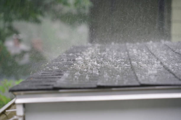 Best Solar Panel Roofing Installation  in Morrow, GA