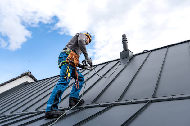 Best Roof Coating and Sealing  in Morrow, GA